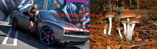 MDMA Premium VHQ Бронницы